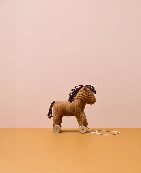 Konik do ciągnięcia Vera Kid’s Concept – AIDEN