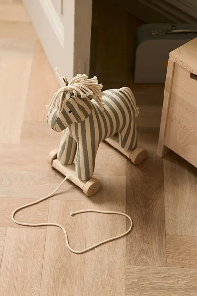 Konik do ciągnięcia Sam Kid’s Concept – AIDEN